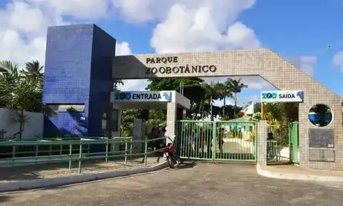 Imagem de Zoológico de Salvador reabre nesta terça após três meses de reforma