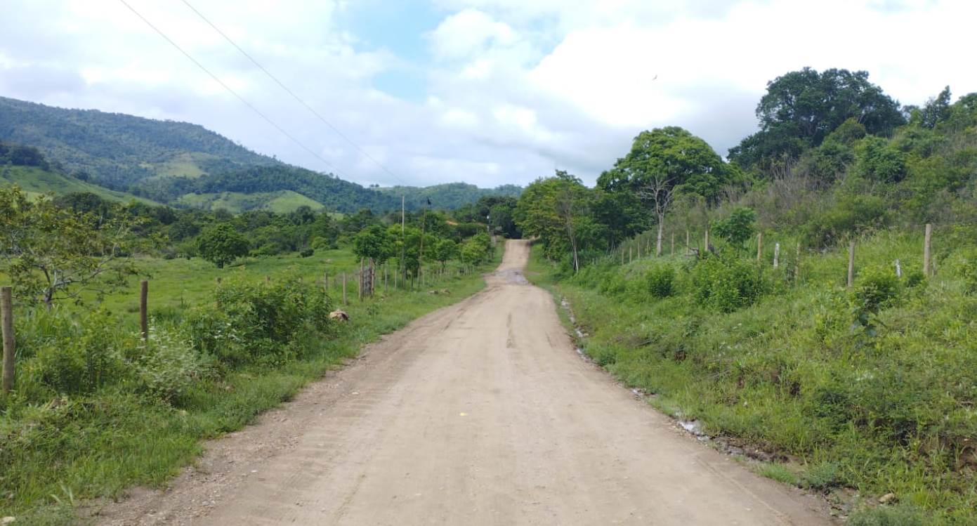 Imagem de Governo da Bahia pavimentará mais de 125 km de rodovias estaduais