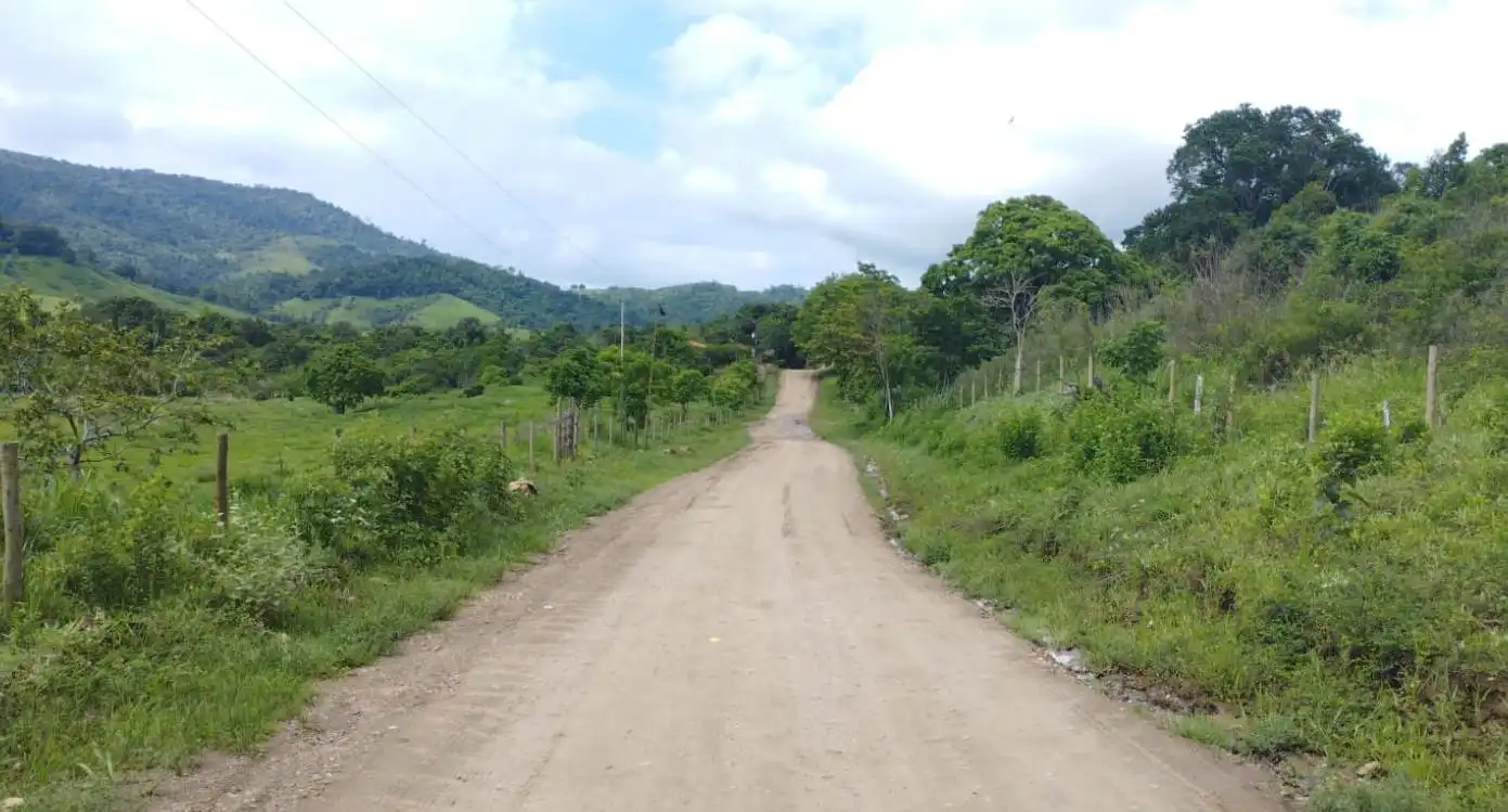 Imagem de Governo da Bahia pavimentará mais de 125 km de rodovias estaduais
