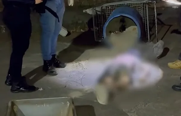 Imagem de Mulher é encontrada morta dentro de tonel com cimento no bairro do Comércio, em Salvador