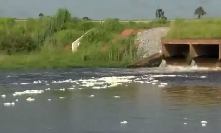 Imagem de Rio na BA é interditado após vazamento de dejetos de empresa privada