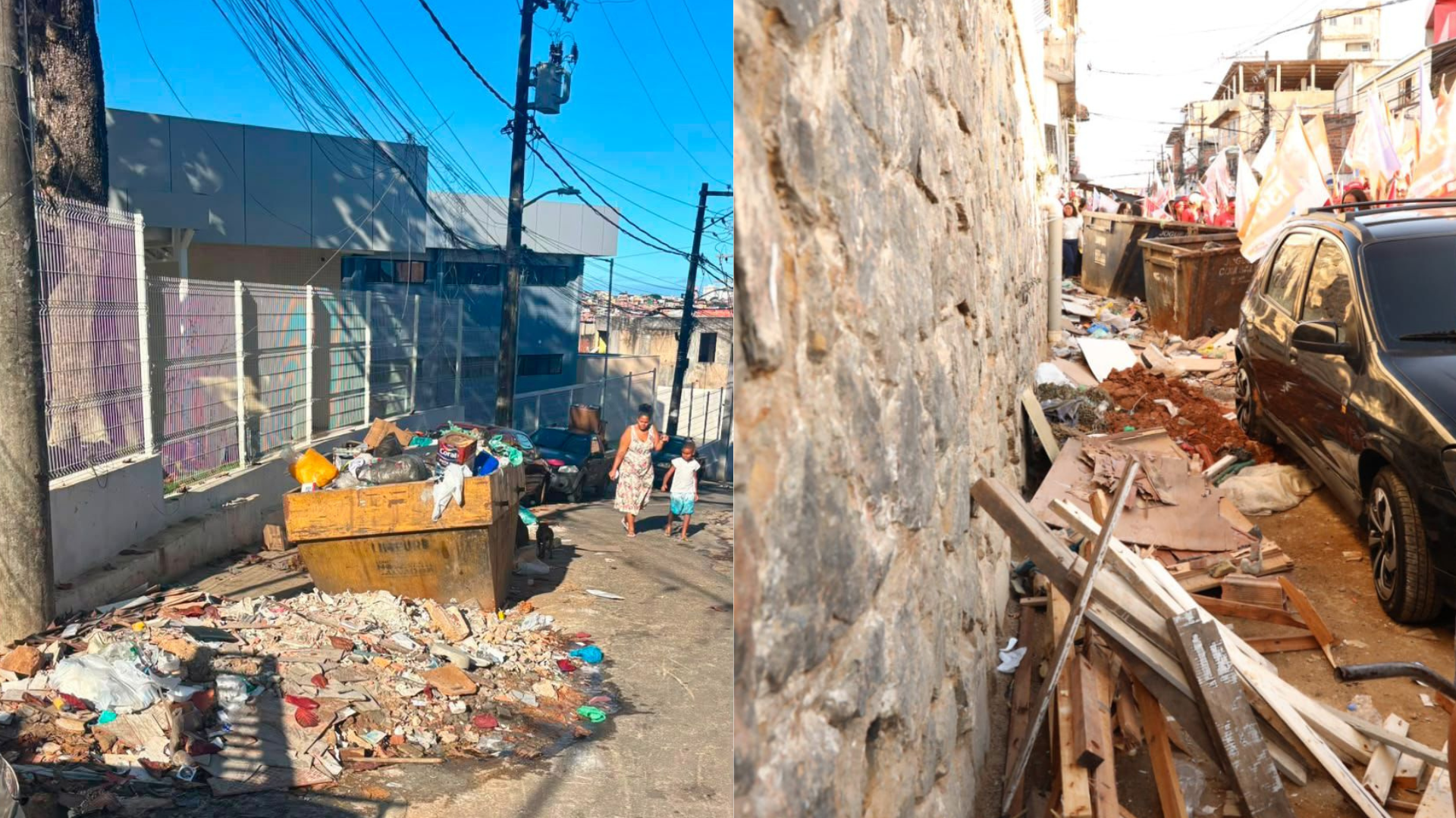 Imagem de Sob a gestão de Bruno Reis, porcos passam a viver nas ruas de Itapuã