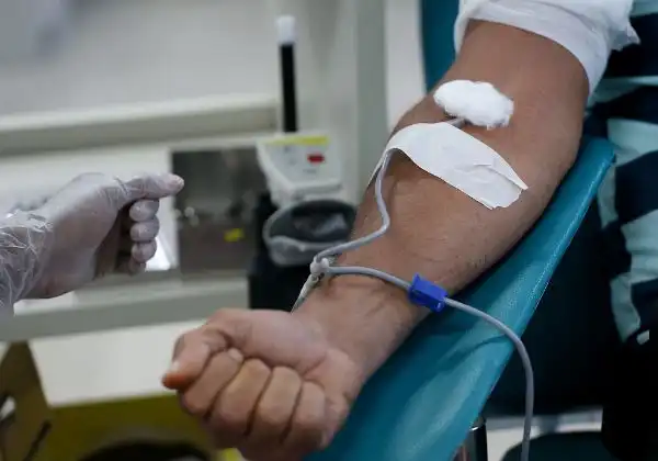 Imagem de Doadores de sangue e medula terão direito à meia-entrada na Bahia; entenda projeto