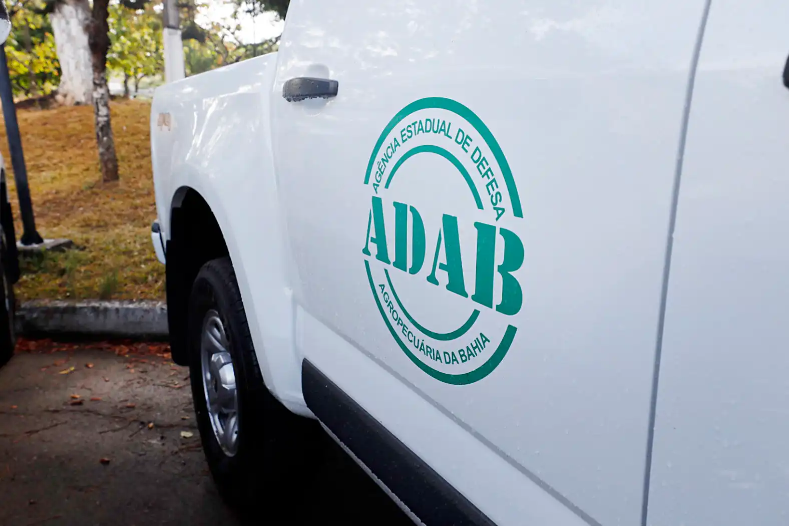 Imagem de Governo republica edital de inscrição para concurso da Agência Estadual de Defesa Agropecuária da Bahia