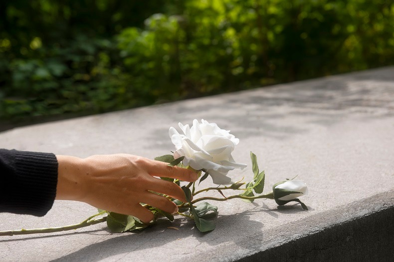 Imagem de Especialista alerta para confusão entre plano funerário e cemitério