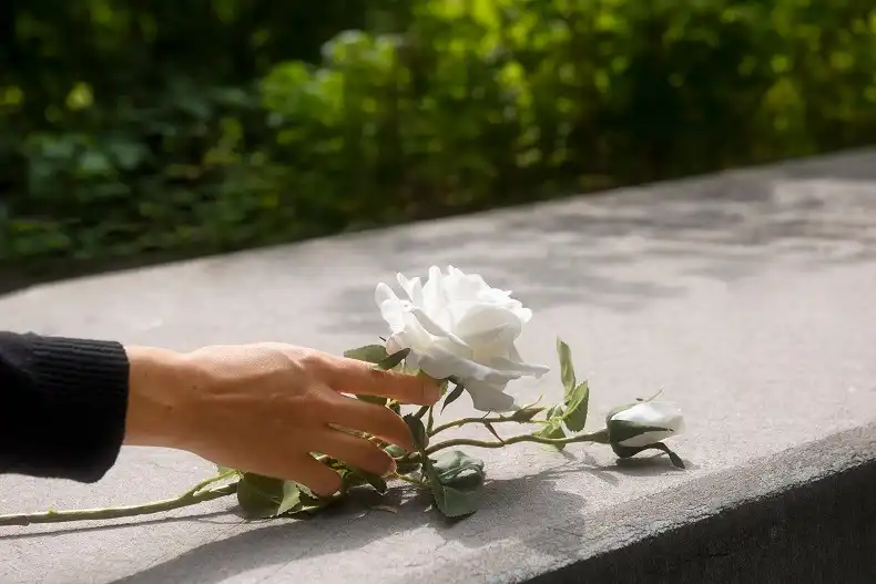 Imagem de Especialista alerta para confusão entre plano funerário e cemitério