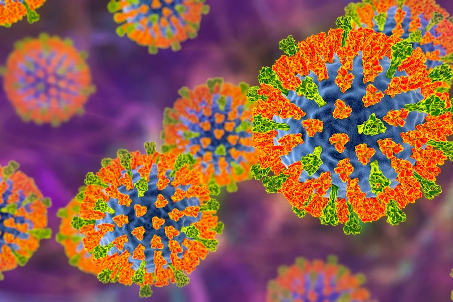 Imagem de Risco de novos surtos: os vírus que a ciência está de olho em 2026