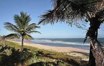 Imagem de Iniciativa ambiental na praia de Guarajuba acontece neste sábado (11)