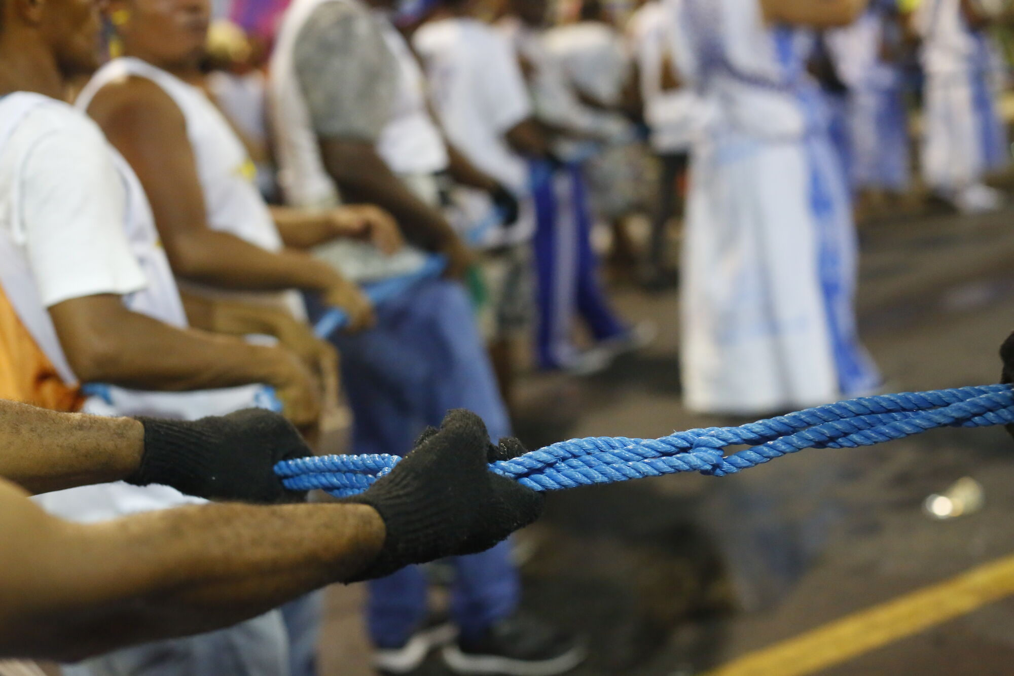 Imagem de O carnaval dos cordeiros 🪢