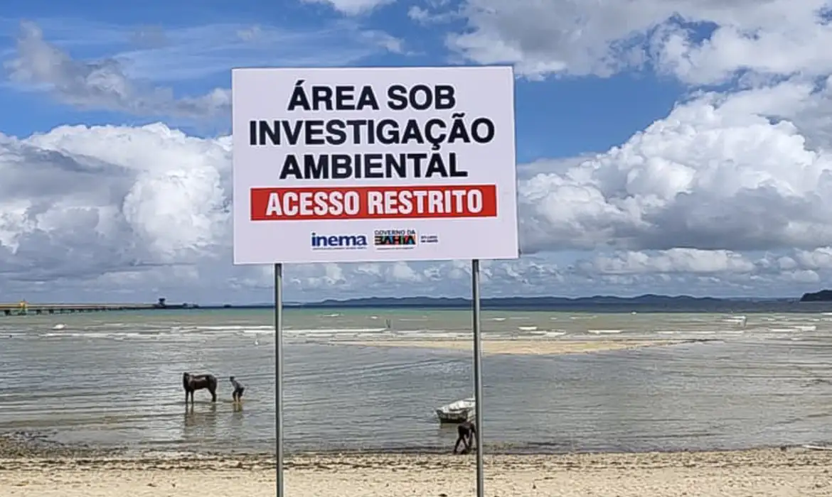 Imagem de Minérios são encontrados em mar da Bahia e Gerdau é investigada por possível crime ambiental