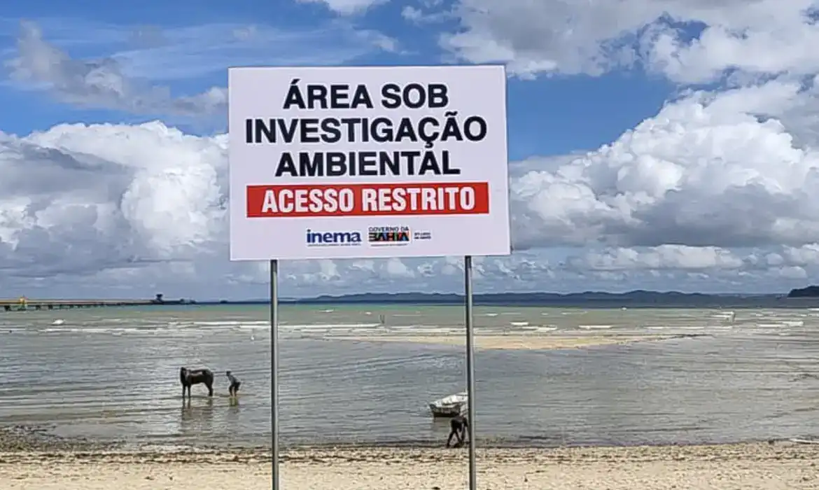 Imagem de Minérios são encontrados em mar da Bahia e Gerdau é investigada por possível crime ambiental